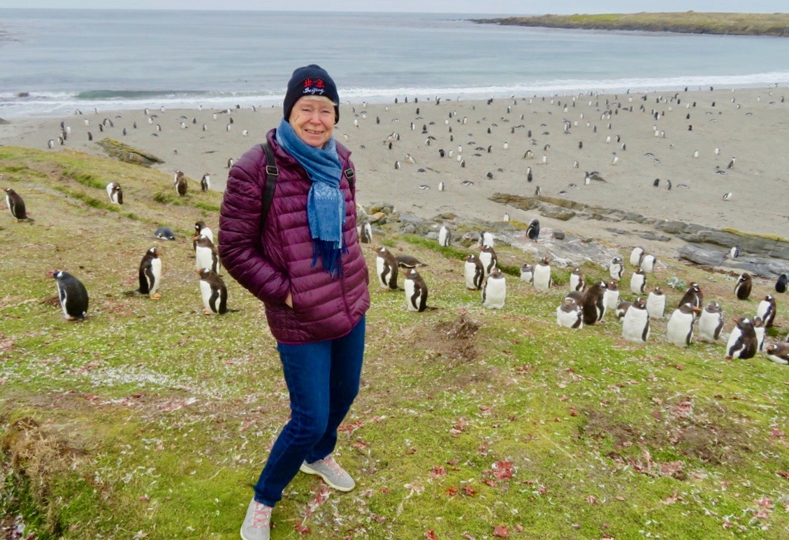 Pingviner fick vi se många av på Falklandsöarna. 
