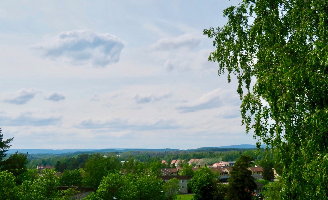 Njutbar utsikt över omgivningarna i Arvika från balkongen. 