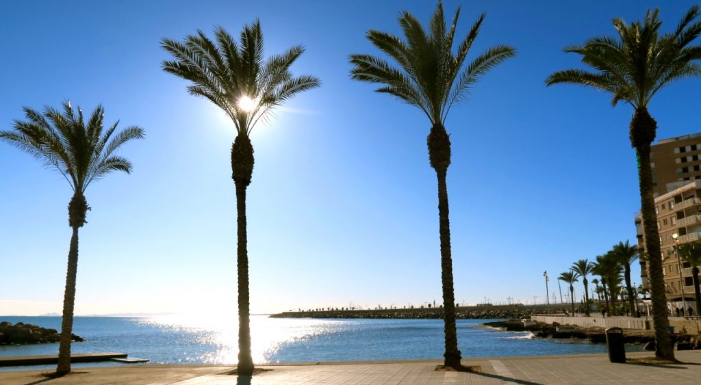 Lätt svajande palmer och en sol som både leker "titt ut" och speglar sig i havet. 