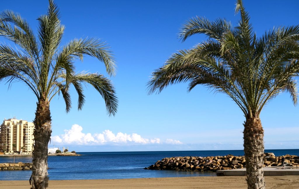 Lätt svajande palmer, blå himmel och blått hav piggar upp.
