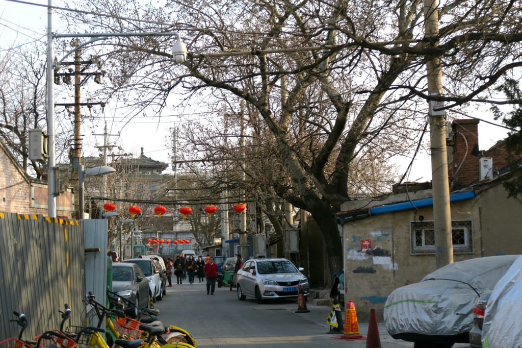 Ett grovt träd växer till synes utan näring i ett hutongområde i Peking. 