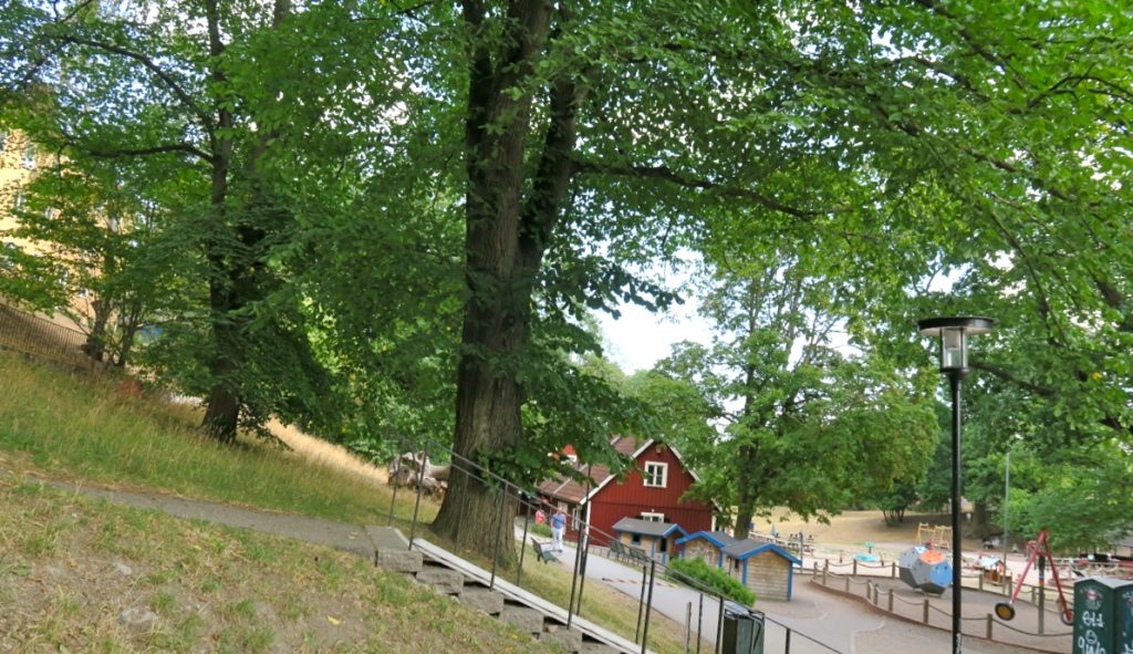Stora Blecktornsparken på Södermalm erbjuder gott om skuggande träd. 