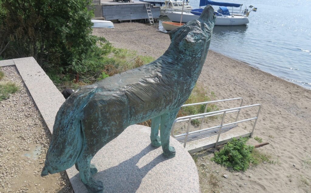 En varg gjord i brons finns på Ulvön. I Ulvöhamn, vid vattnet och den lilla badstranden. 