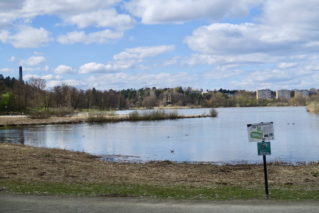 Solna. Naturreservatet Råstasjön ligger strax väster om Friend´s arena och Mall of Scandinavia. 