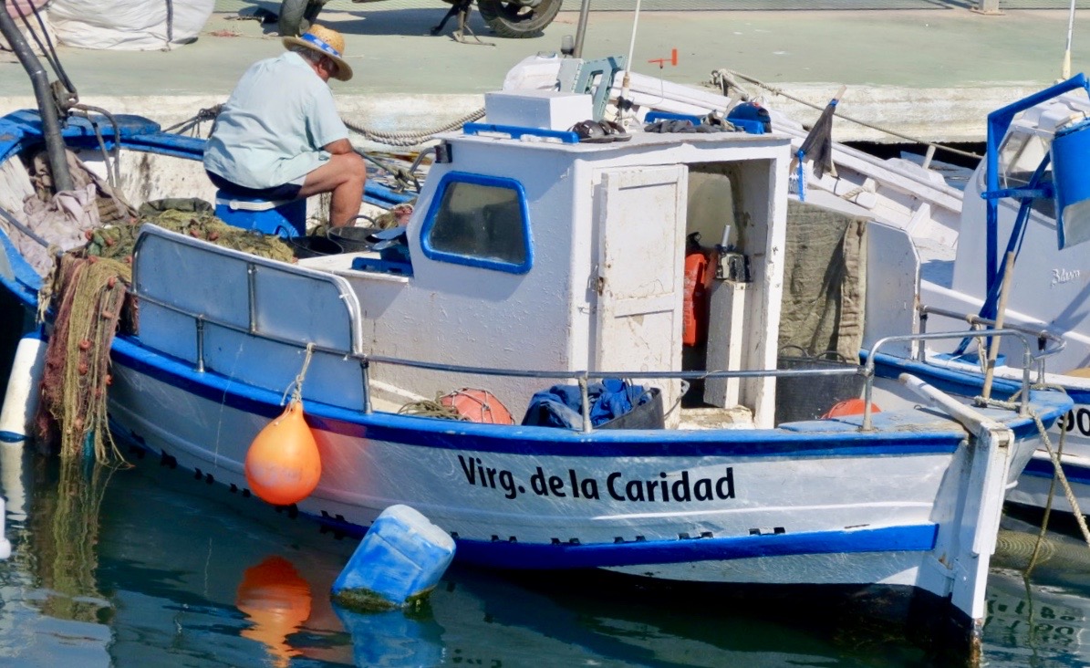 Spanien. Sett i Torrevieja under veckan är att fisket fortfarande är aktivt. 