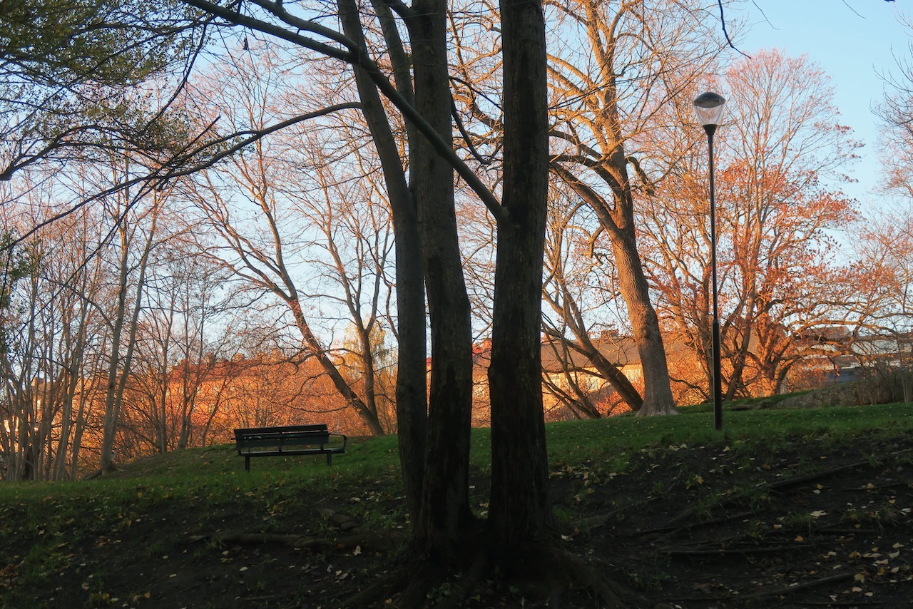 Stockholm. Södermalm. Tullgårdsparken. En känsla av vår infann sig när jag blundade och inte såg de kala träden. 